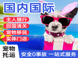 西昌青山空运国际宠物托运 【国